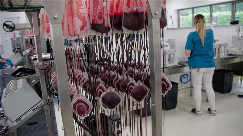 „Ein kleiner Piks“ - Junge Blutspender werden gesucht Die weißen Blutkörperchen (Leukozyten) werden im Zentrallabor des DRK-Blutspendedienstes aus den Blutkonserven herausgefiltert.