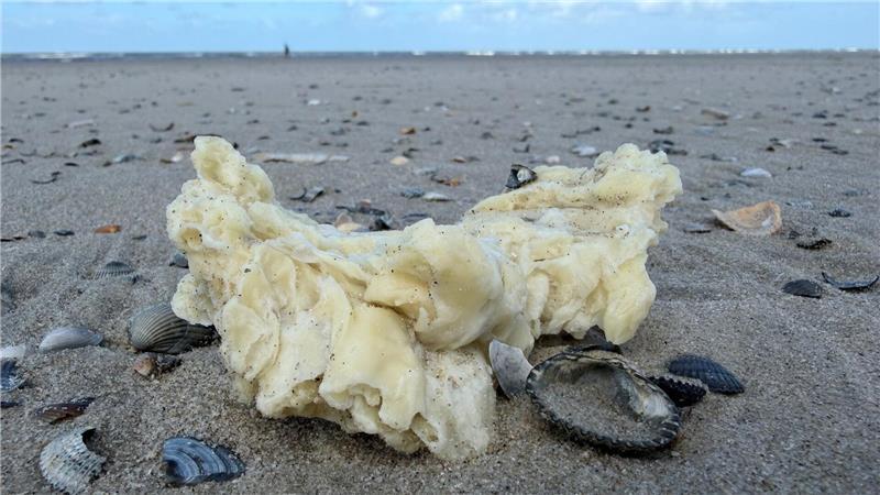 Die weißen Klumpen wurden unter anderem auf Borkum, Juist und Norderney entdeckt.