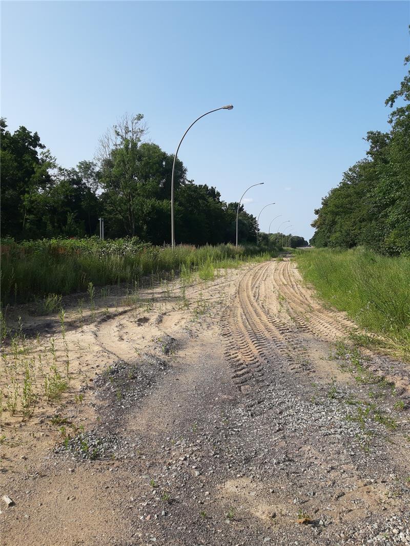Die alte Trasse der Wilhelmsburger Reichsstraße im Sommer 2021. Foto: Frank