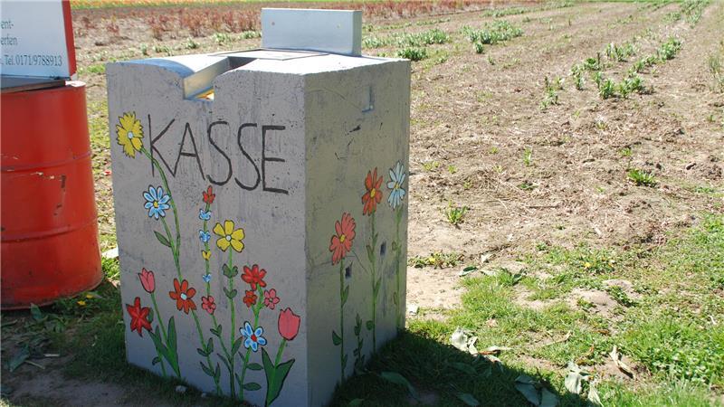 Diebstahlsicher und mit schmalem Geldschlitz: Die Betonkasse am Blumenfeld in Apensen. Ein gleiches Modell wird in Grundoldendorf aufgestellt.