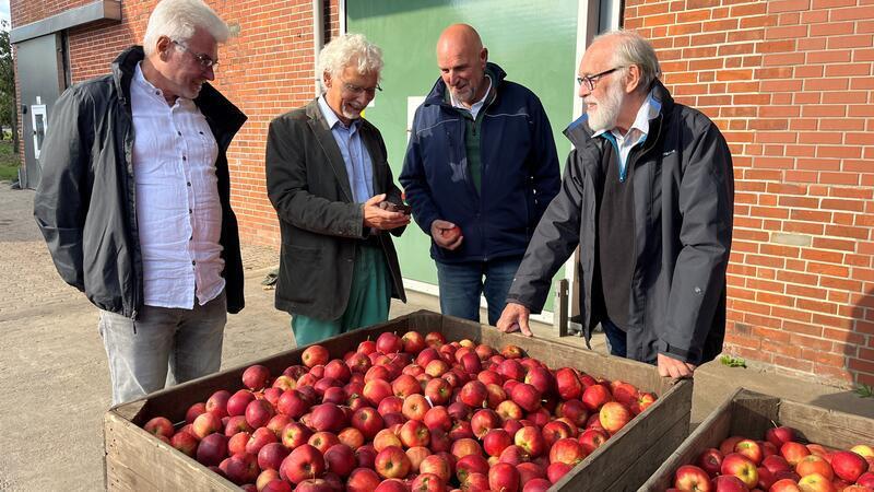 Diese Äpfel werden mit Solarstrom gekühlt: Rolf Rudorffer, Joachim Sellner und Edgar Schmidt von der Bürger-Energie-Genossenschaft im Gespräch mit Obstbauer Hans-Jürgen Bremer (2. von rechts) vor dem Lager.