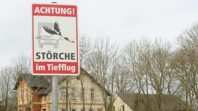 Störche im Tiefflug krachen in fahrende Lkw Diese Schild warnt Autofahrer kurz vor der Ortschaft Sandstedt.