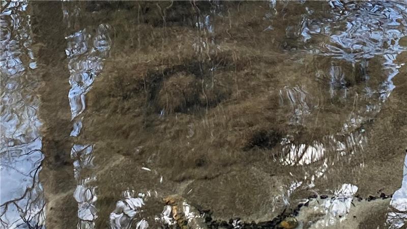 Die Magie des Wassers: Rituale und mystische Quellen in der Region Diese artesische Quelle brodelt und speist die Este bei Bötersheim.