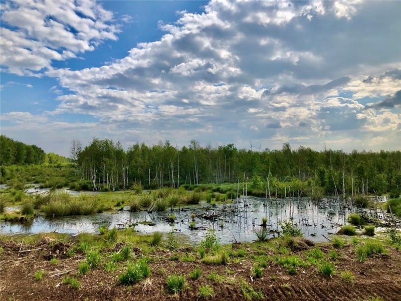 Diese ehemalige Abbaufläche der Torfwerke Euflor ist längst renaturiert. Foto: Kleingünther