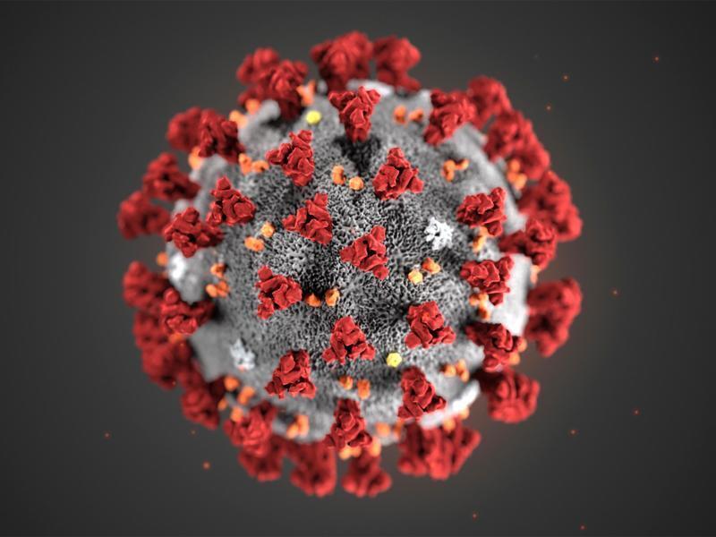Diese von den Centers for Disease Control and Prevention (CDC) im Januar 2020 zur Verfügung gestellte Illustration zeigt das Coronavirus (2019-nCoV). Foto: Uncredited/Centers for Disease Control and Prevention/AP/dpa