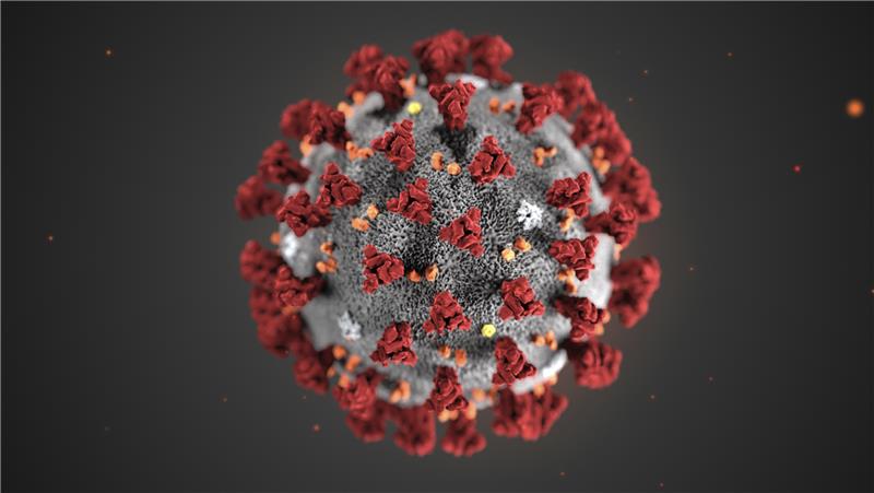 Diese von den Centers for Disease Control and Prevention (CDC) im Januar 2020 zur Verfügung gestellte Illustration zeigt das Coronavirus (2019-nCoV). Foto: Uncredited/Centers for Disease Control and Prevention/AP/dpa