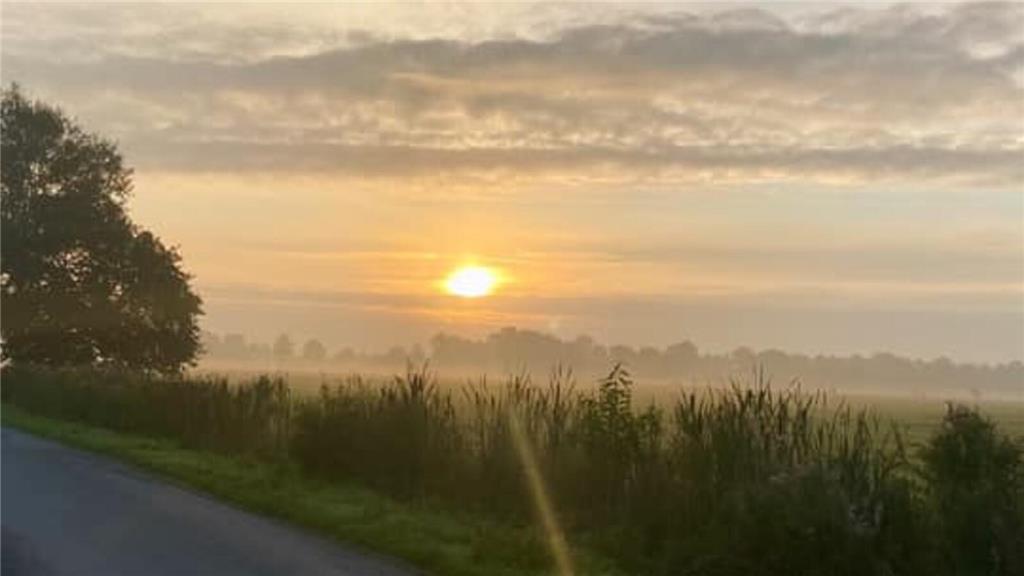 Diesen Schnappschuss hat Birte im Dornbuschermoor aufgenommen.