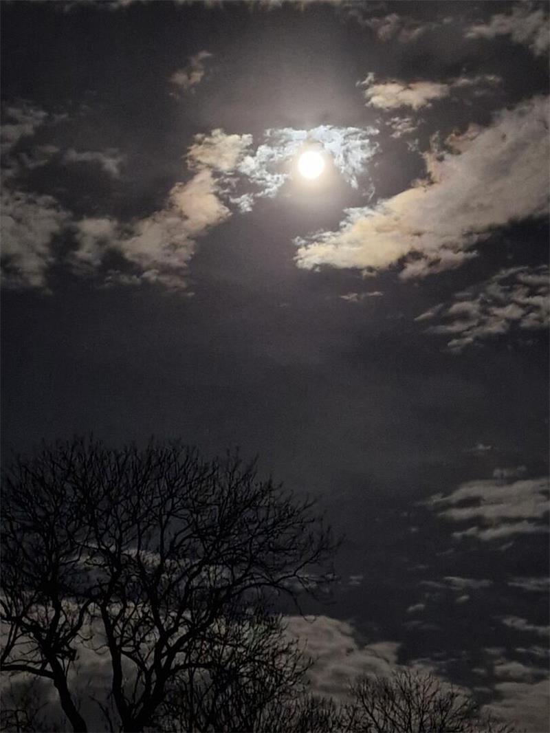 Supermond über dem Landkreis Stade: Das sind die besten Leserfotos Diesen Schnappschuss hat Sven Schröder von seiner Terrasse aus in Freiburg/Elbe gemacht.