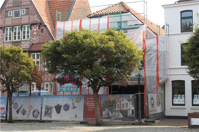 Dieser Baum steht direkt vor dem künftigen Eingang des Buxtehude-Museums . Die Mitglieder des Bauausschusses sollen nun überlegen, ob der Baum gefällt werden muss. Foto: Frank