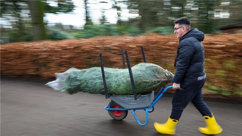 Dieser Mann hat seine Wahl bereits getroffen.