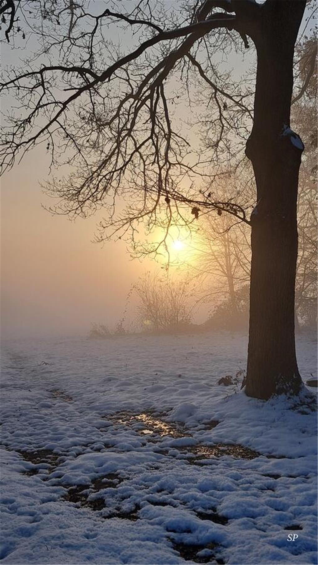 Dieser Schnappschuss ist unserer Leserin Svenja Poppe aus Frankenmoor gelungen. 
