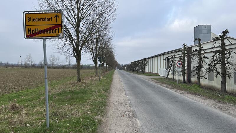 Unsicherer Schulweg: Müssen Bäume gefällt werden? Dieser Weg führt zur zukünftigen Grundschule Bliedersdorf-Nottensdorf in Bliedersdorf. Geplant ist ein Fuß- und Radweg.