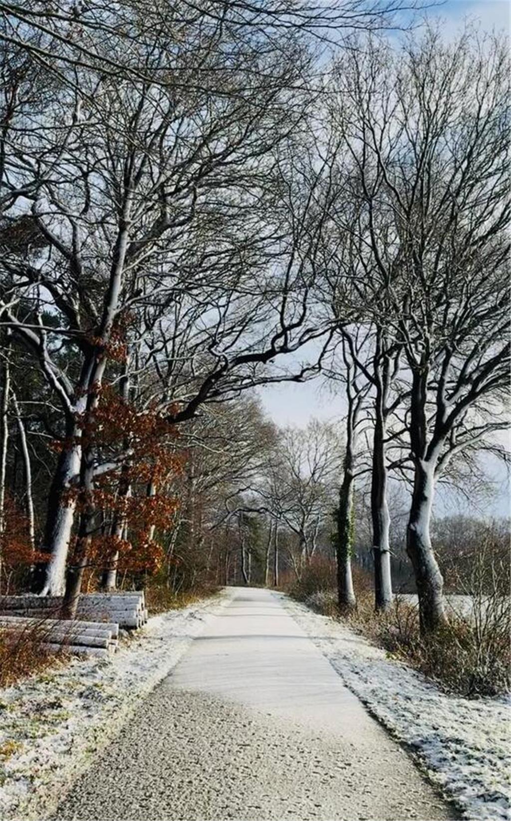 Dieser verschneite Waldweg in Oldendorf stammt von Dana Ott.