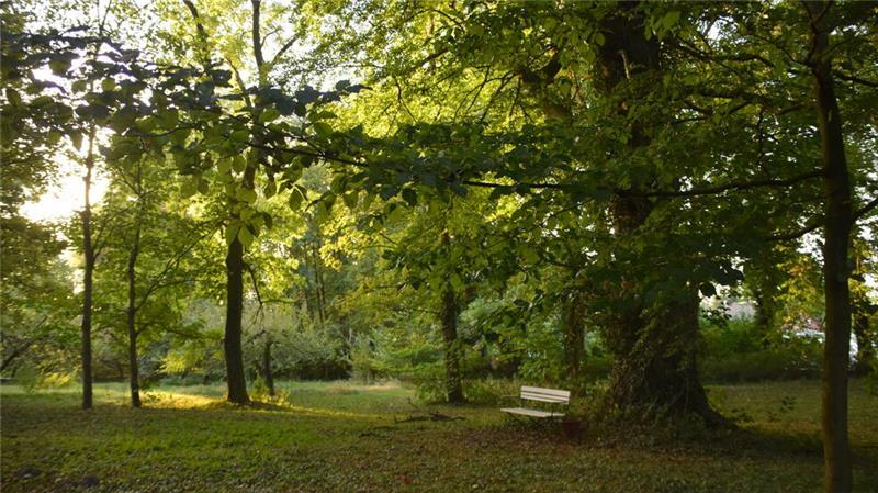 Klage abgelehnt: Bünting darf Combi-Markt in Himmelpforten bauen Dieses Bild vom Steinmetzpark (aufgenommen von Ratsfrau Ursula Männich-Polenz im Jahr 2016) haben die Gegner des Einkaufszentrums vor Augen. Ihr Kampf gegen die Bebauung ist mit der Entscheidung des OVG Lüneburg beendet.