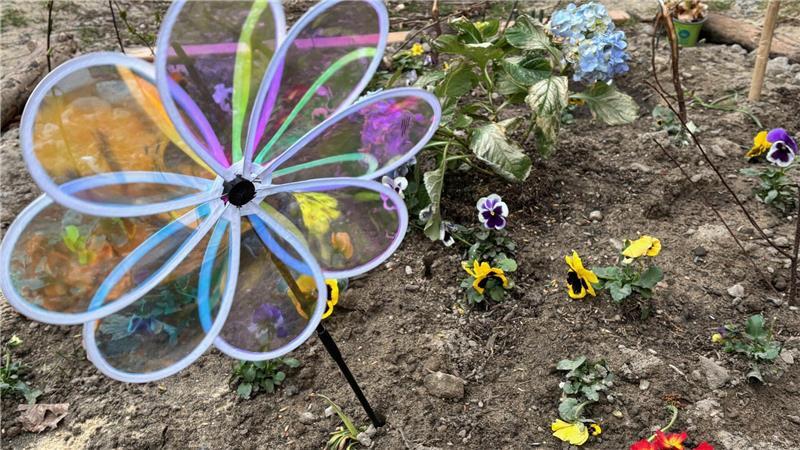Dieses Blumenbeet haucht dem Gelände der Flüchtlingsunterkunft am Gildenweg in Buxtehude etwas Farbe ein. Eine ehrenamtliche Helferin hat es zusammen mit dort lebenden Kindern gepflanzt.