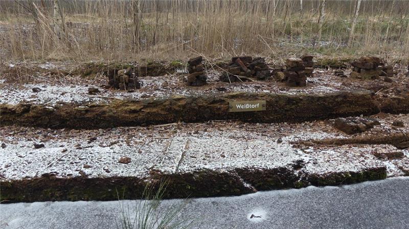 Dieses Bodenmodell des Vereins zur Förderung von Naturerlebnissen zeigt die verschiedenen Torfschichten im Moor. Auf der letzten Abbaufläche haben die Euflor-Humuswerke nach entsprechenden Vereinbarungen mit der Wildtierstiftung weniger stark abgetorft.