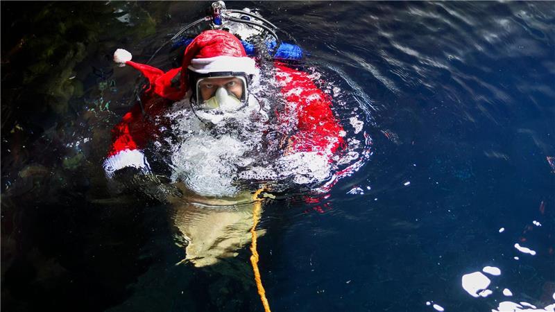 Dieses Jahr gibt es etwa Scampi und Makrelenstückchen.