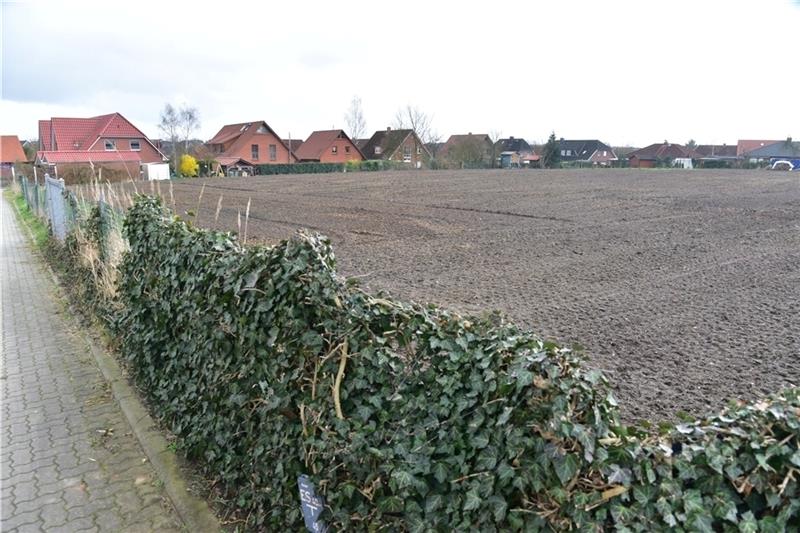 Dieses etwa 10 000 Quadratmeter große Grundstück am Gorch-Fock-Weg soll bebaut werden. Foto Beneke