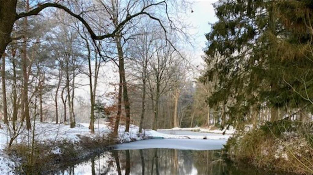 Dieses stimmungsvolle Bild hat Karin Quoohs fotografiert.