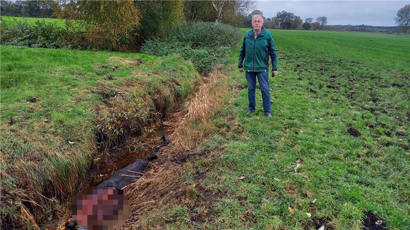 Wolfsriss in Mulsum: So reagieren Pferdehalter in der Region Dietrich Bargsten neben einem seiner Zuchtpferde, das kürzlich von Wölfen gerissen wurde.