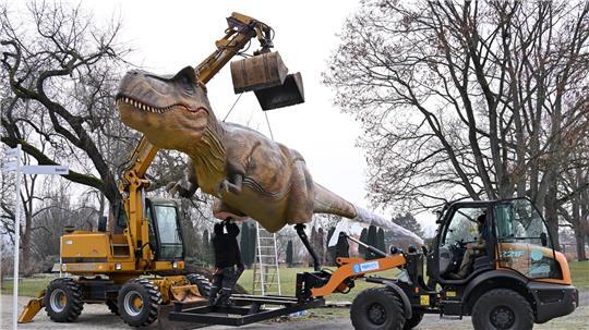 Dino am Haken: Die Nachbildung eines Tyrannosaurus Rex wird für die Ausstellung „Dino Lights“ in Erfurt aufgebaut.