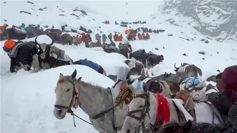 Dorfbewohner stiegen mit Pferden und Ochsen auf den Mount Everest, um zu den Wanderern zu gelangen. (Archivbild)
