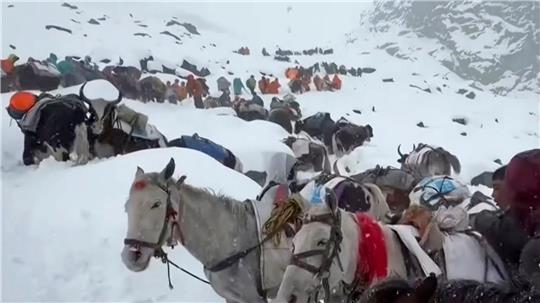 Dorfbewohner stiegen mit Pferden und Ochsen auf den Mount Everest, um zu den Wanderern zu gelangen. (Archivbild)