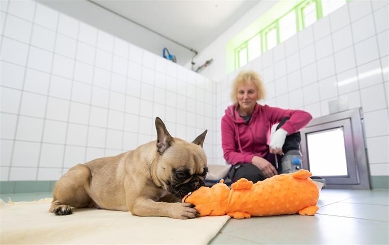 Ukrainische Tierheim-Hunde kommen nach Mienenbüttel – Buxtehude sucht Tierpaten Doris Firlus, Betreiberin des Tierzentrums Neu Wulmstorf, kniet in einem Zwinger neben ihrem Hund Erna. Foto: Philipp Schulze/dpa
