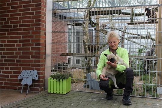 Doris Firlus mit ihrer French-Bulldog-Dame „Erna“ vor der Außenanlage für die Katzen des Tierzentrums. Foto: Frank