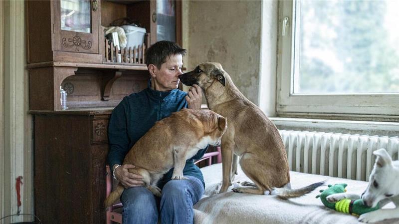Warum Doris Urban ihr Leben den Hunden widmet Doris Urban hat ihre Hunde gern. Und ihre Hunde mögen sie.