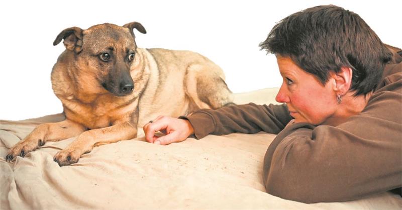 Doris Urban kümmert sich in Neuenkirchen um Angsthunde. Mira war die erste Hündin, bei der sie erkennen musste: Nicht jeder Hund ist vermittelbar. Fotos: Scheschonka