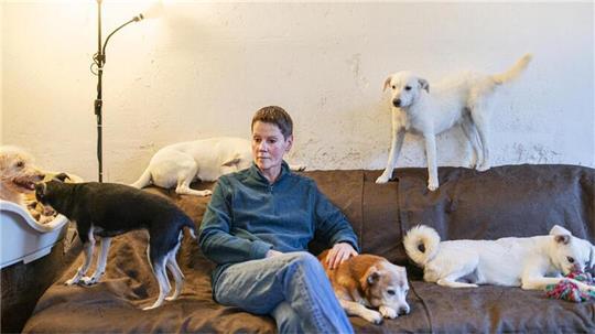 Doris Urban rettet Hunde vor dem sicheren Tod und gibt ihnen ein sicheres Zuhause und eine Perspektive für ein Weiterleben. Aktuell leben in und um ihr Haus herum 12 Hunde und 13 Katzen.