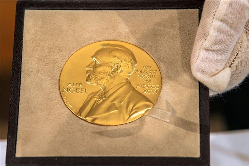 Dotiert sind die Nobelpreise in diesem Jahr mit elf Millionen schwedischen Kronen (rund 950.000 Euro) pro Kategorie.