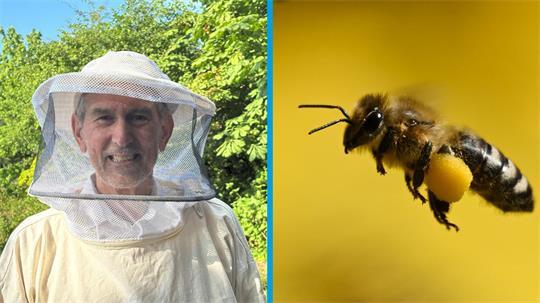 Dr. Andreas Kleinheinz erklärt im TAGEBLATT, was Allergiker zu Insektenstichen wissen müssen.