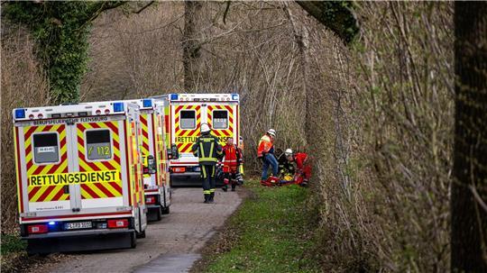 Drei Menschen sterben in einem Waldstück südöstlich von Flensburg.