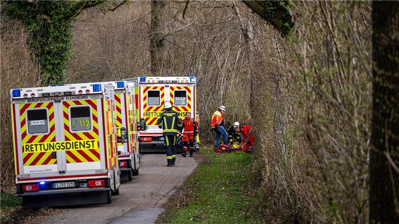 Drei Menschen sterben in einem Waldstück südöstlich von Flensburg.