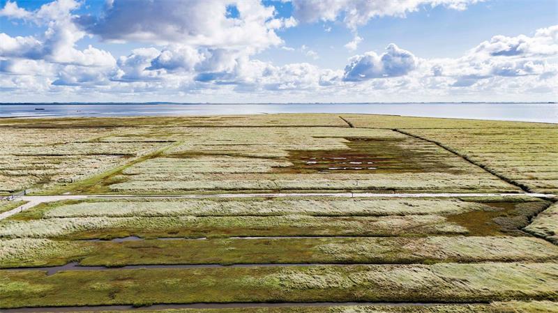 Wachen Ranger bald auch auf der Nordsee? Drei Wattenmeer-Nationalparks gibt es in Deutschland: In Niedersachsen, Hamburg und Schleswig-Holstein.