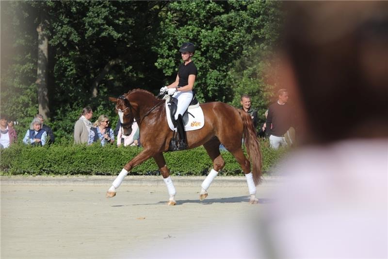 Dressur vom Feinsten zeigte Greta Heemsoth vom Team Pape in Hemmoor.