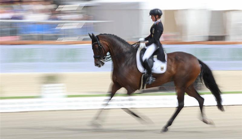 Dressurreiterin Helen Langehanenberg reitet auf Annabelle bei der Dressur-Europameisterschaft Freestyle. Archivfoto: Friso Gentsch/dpa