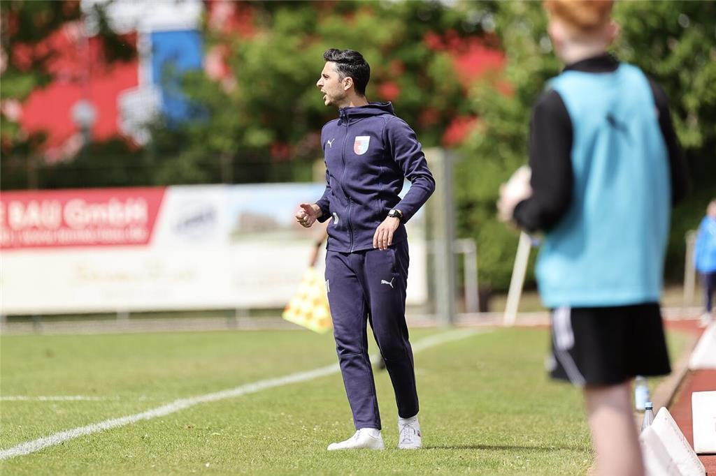 Drochtersen/Assel - Hamburger SV II