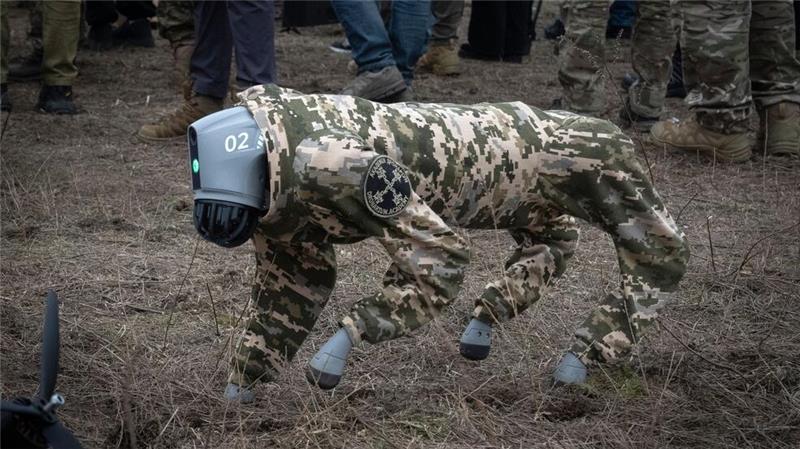 Drohnenhund: Eine Roboter-Drohne, die wie ein Hund in Uniform aussieht, geht auf einer Militärmesse in der Region Kiew in der Ukraine. 
