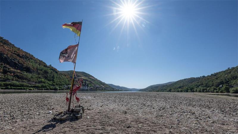 Dürre am Mittelrhein: Ein improvisierter Fahnenmast mit zwei drei rosa Flamingos steht im ausgetrockneten Rheinbett bei Bacharach