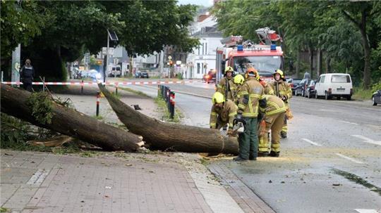 Durch das Unwetter sind einige Bäume umgekippt.