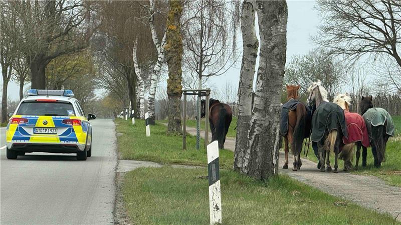 Durch das beherzte Eingreifen einiger Autofahrer konnten die Pferde von der Fahrbahn auf den Gehweg geführt werden.