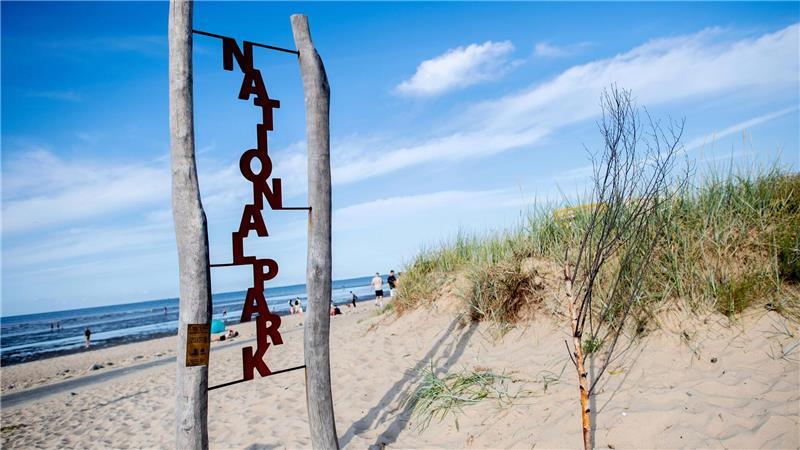 Organisationen lehnen neue Kabeltrassen durchs Wattenmeer ab Durch den Nationalpark Niedersächsisches Wattenmeer sollen viele Stromkabel zur Anbindung von Windparks auf See verlaufen. (Archivbild)