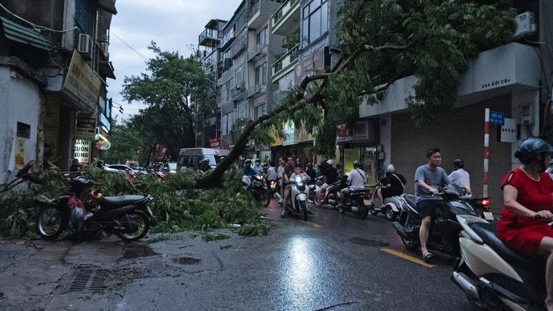Taifun fordert in Vietnam mindestens 22 Tote Durch den Taifun sind etliche Bäume umgestürzt.
