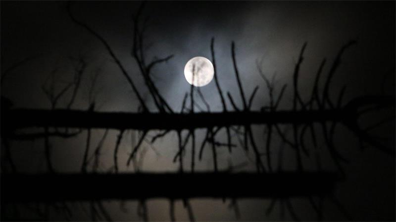 Was wäre, wenn der Mond verschwindet? Durch den angestrahlten Mond ist es nachts nie stockdunkel. Das machen sich manche Tiere zunutze.
