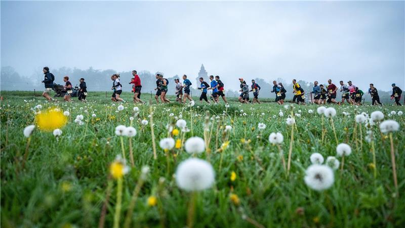 Durch die Botanik: Läufer sind beim Rennsteiglauf auf der Supermarathonstrecke bei Eisenach unterwegs. 