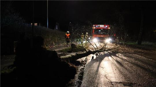 Durch die Sturmböen stürzten überall im Landkreis Stade Bäume auf die Straßen und Wege. Hier in der Apenser Straße in Buxtehude.
