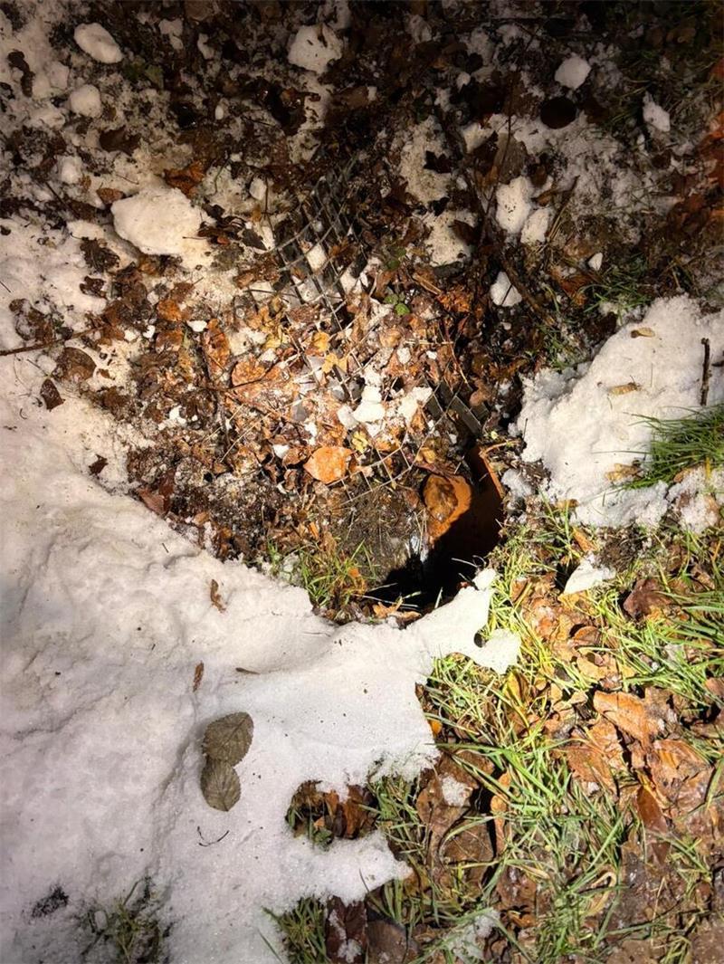 Durch dieses Loch war Kater "Timy" in die Kanalisation gelangt.